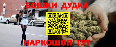крисы Новозыбков