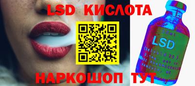 крисы Новозыбков