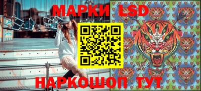 крисы Новозыбков