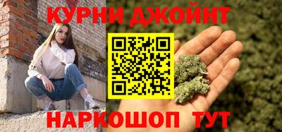 крисы Новозыбков