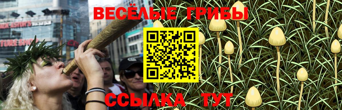 Тимашёвск  Галлюциногенные грибы мухоморы  Вход с VPN  Галлюциногенные грибы ЛСД 